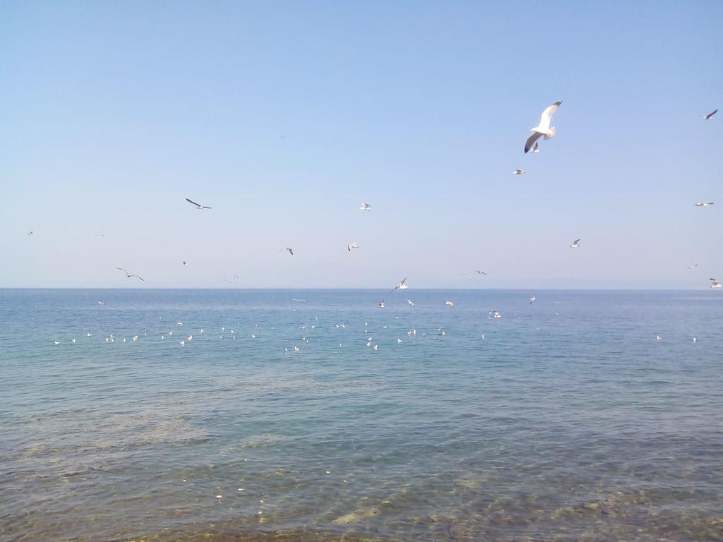 Roula'S House Βίλα Σκάλα Καλλιράχης Εξωτερικό φωτογραφία